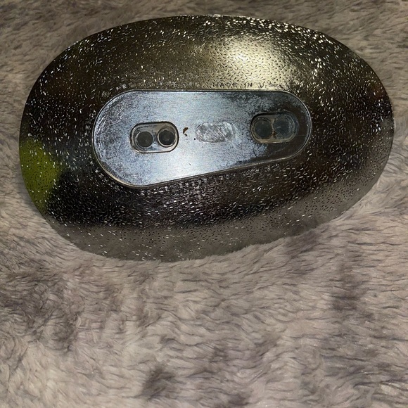 Snarling Cat Tray - Picture 4 of 9